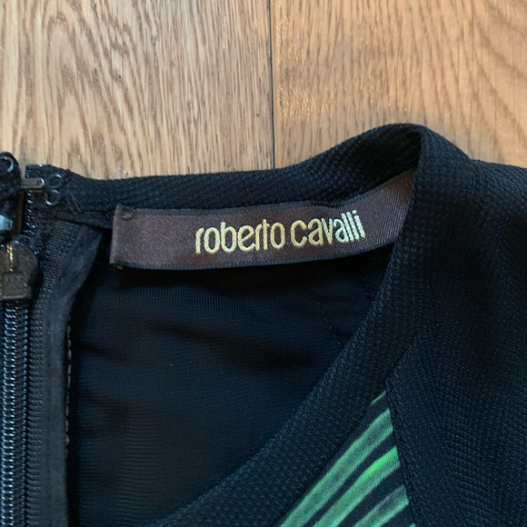 Roberto Cavalli Sleevless Dress - Picture 2 of 7